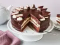 Eine köstliche Kinder Pingui Torte mit Schokoladenglasur, Sahnetupfern und kleinen Schoko-Biskuit-Stücken. Ein Stück ist bereits angeschnitten.