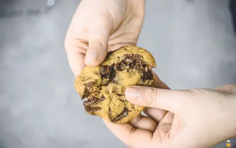 Hände halten einen zerkrümelten Schokoladenkeks, der nach einem einfachen Cookies Rezept gemacht wurde.