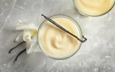 Cremiger Vanillepudding, perfekt zum Pudding selber machen. Mit echter Vanilleschote und Blüte.