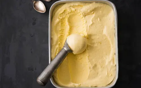 Cremiges Vanilleeis, frisch aus der Eismaschine, bereit zum Genießen. So einfach lässt sich Vanilleeis selber machen!