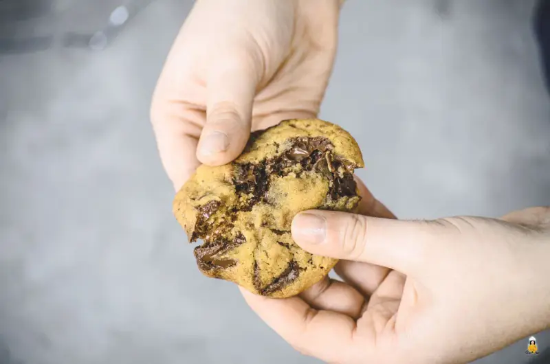 Hände halten einen zerkrümelten Schokoladenkeks, der nach einem einfachen Cookies Rezept gemacht wurde.